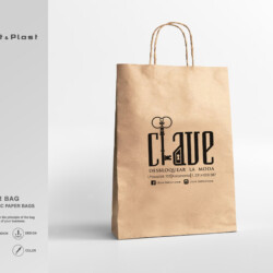 economicpaperbag_ciave