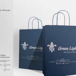 economicpaperbag_greenlight