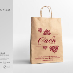 economicpaperbag_oasi
