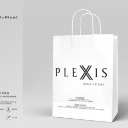 economicpaperbag_plexis